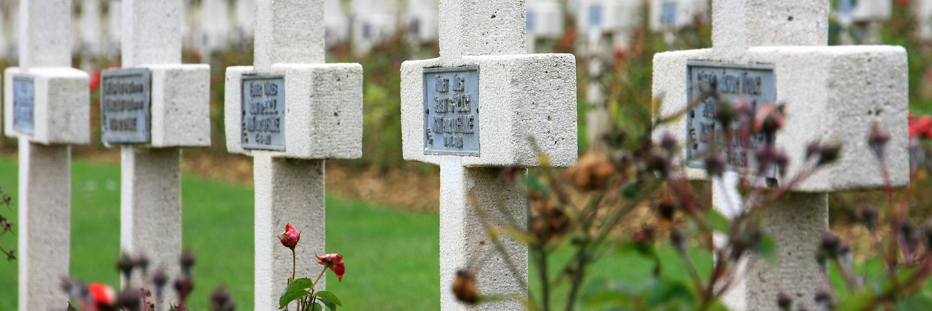 WW1 from Ypres to the Somme