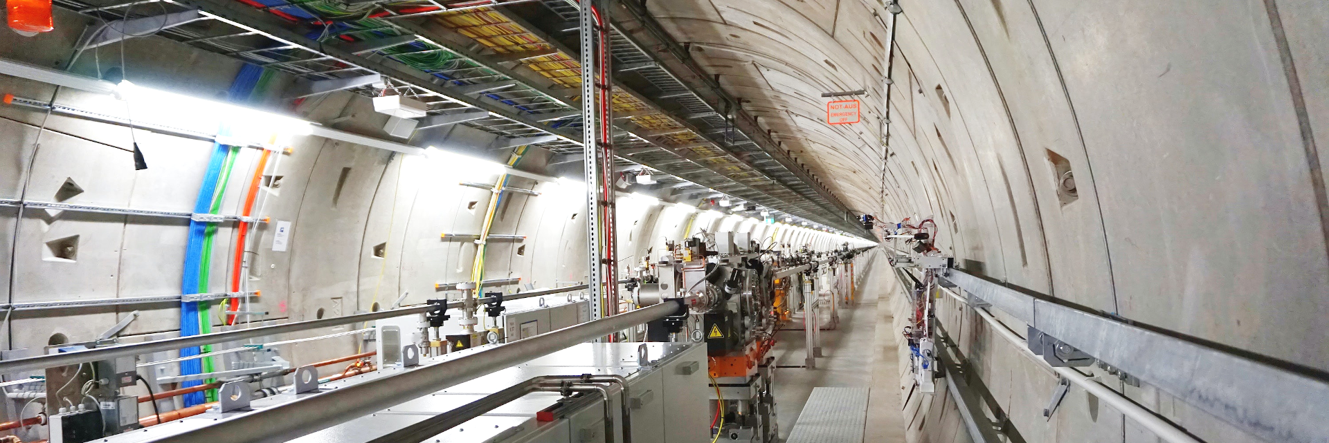 Hamburg Particle Physics