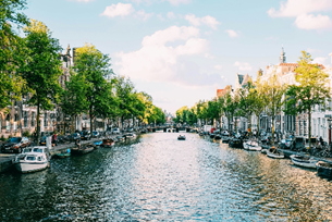 Amsterdam Art and Design
