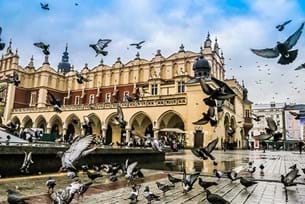 History in Auschwitz and Krakow