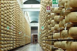 Bologna Food Studies