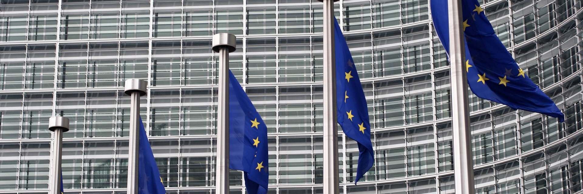 Brussels Business