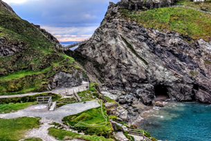 Cornwall: Seals and Sharks