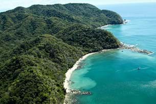 Biodiversity in Costa Rica: Sloths & Turtles