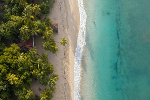 Diverse Martinique!