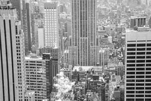New York Design and Technology