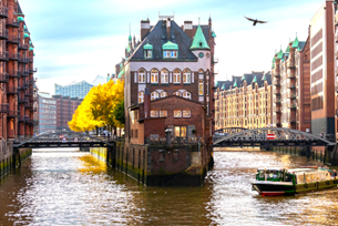 Hamburg Particle Physics