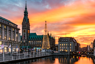 Hamburg Particle Physics