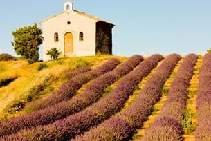 Provence Classics