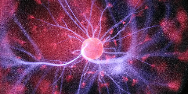Science (STEM)
