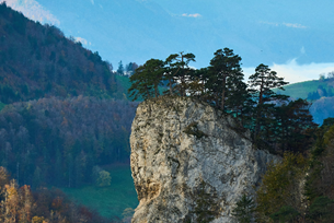 Diverse Slovenian Geography!