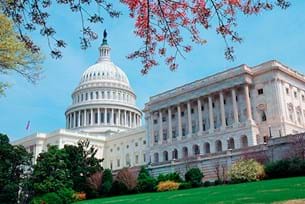 Washington and New York Politics