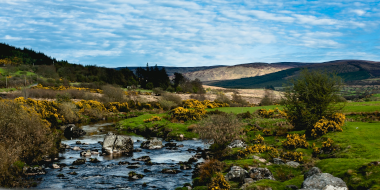 Wicklow